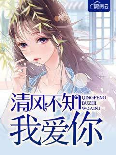 清风不知我爱你讲了什么