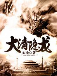 大清隐龙怎么样