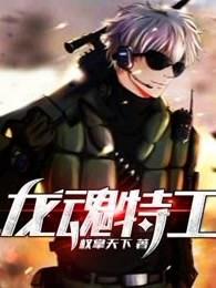 龙魂特工女主有几个