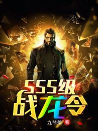 SSS级战龙令短剧