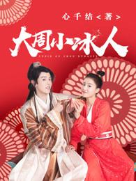 大周小冰人豆瓣评分