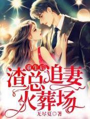 渣总追妻火葬场讲的什么内容