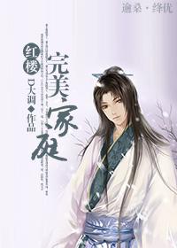 红楼之完美家庭