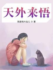 歌曲天外来物意思