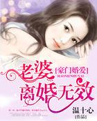 豪门老婆离婚无效全文