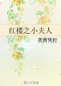 红楼之小夫人TXT免费阅读