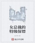 女总裁的超级保镖等级