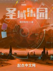 圣域科技有限公司