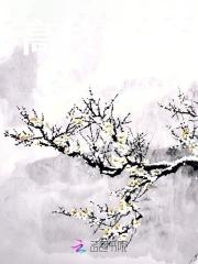 高枝难攀短剧热播