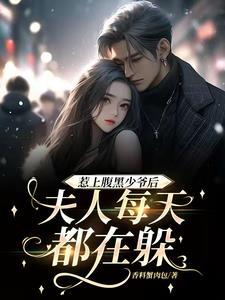 惹上腹黑少爷后