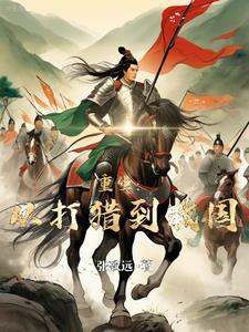 崖山海战的视频