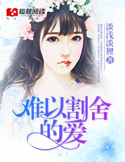 难以割舍的爱歌词全部