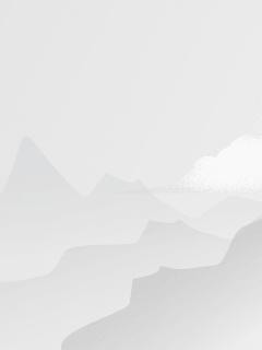 好风频借力 送我上青云