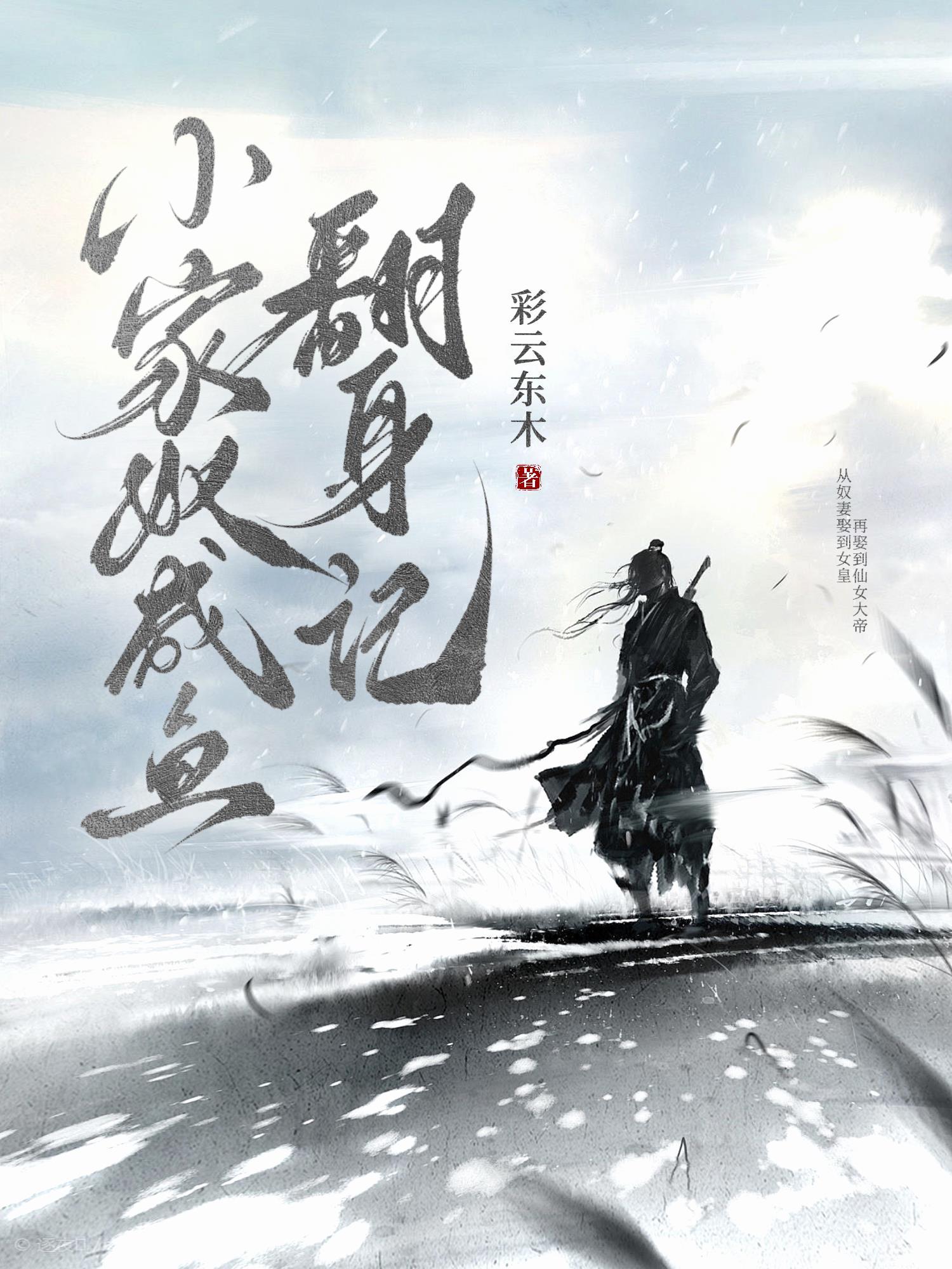 小家奴免费阅读五五推书