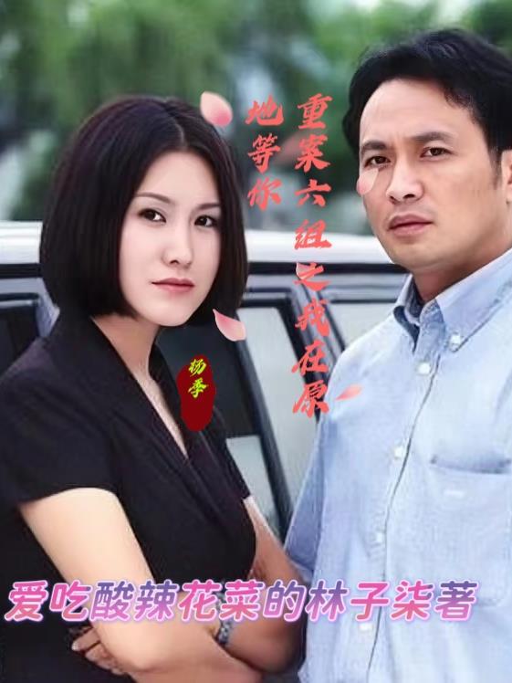 在重案六组第二部全集