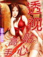 透视贴心高手林尘