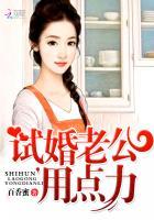 免费全本试婚老公要给力