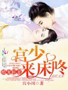 宫少宠妻太凶了