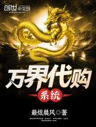 万界代购系统动画