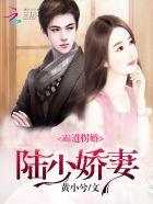 陆少霸宠妻替嫁妻全文