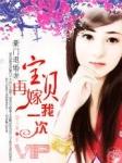 豪门退婚妻宝贝再嫁我一次全文