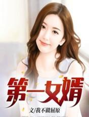 第一女婿免费阅读无弹窗