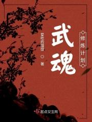 武魂修炼计划在线观看