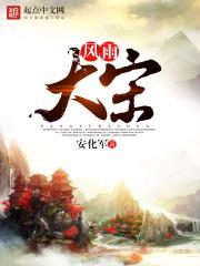 风雨大宋作者疯了
