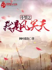 斗罗之我是风笑天全文阅读