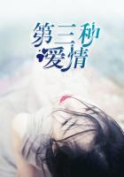 第三种爱情刘亦菲宋宪承