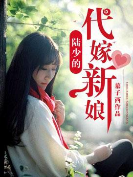 陆少的替嫁新娘全