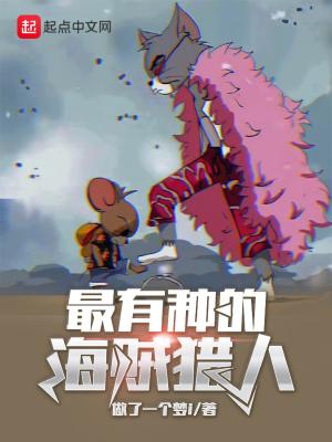 海贼王海贼猎人中文版